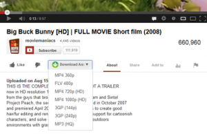 2.easy-youtube-downloader