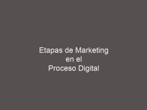 Etapas de Marketing en el Proceso Digital