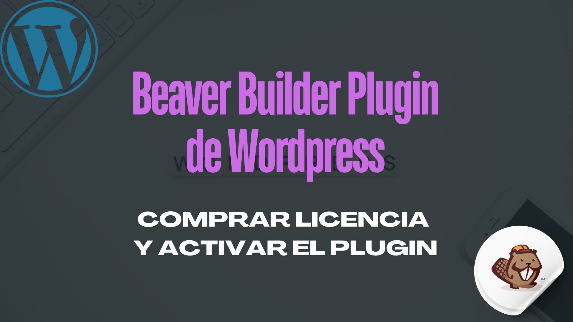 Beaver Builder Plugin de Wordpress - Comprar Licencia y Activar el Plugin